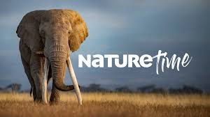 Nature Time TV